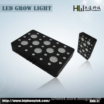 300W LED Medical Plant Grow Light